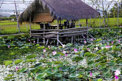 Đây là nơi khách có thể nghỉ ngơi, ăn uống với các món dân dã. Đây là nơi khách có thể nghỉ ngơi, ăn uống với các món dân dã.